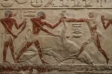 Bas-relief dans le Mastaba de Kagemni
