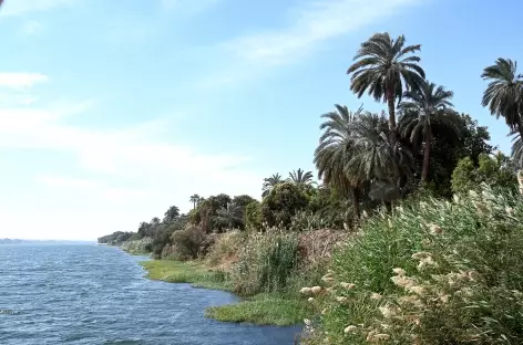 Bord du Nil, croisière - 
