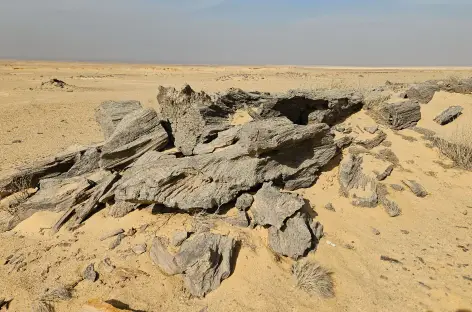 Forêt pétrifiée de Kasr el Sagha - Egypte