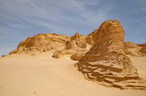 Wadi el Hitan - Egypte