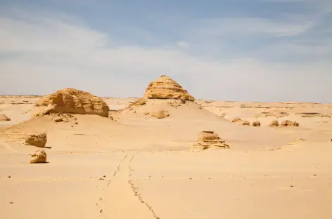 Wadi el Hitan - Egypte