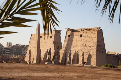 Temple de Louxor - Egypte