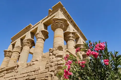 Temple de Philae à Assouan - Egypte
