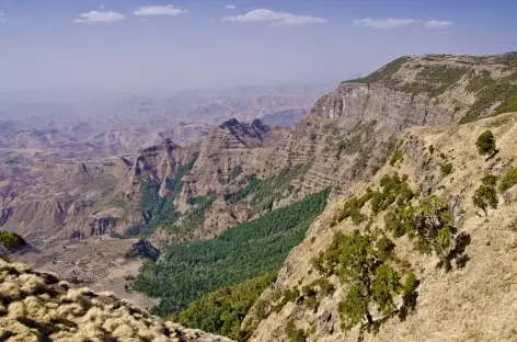 Montagnes du Simien - Ethiopie