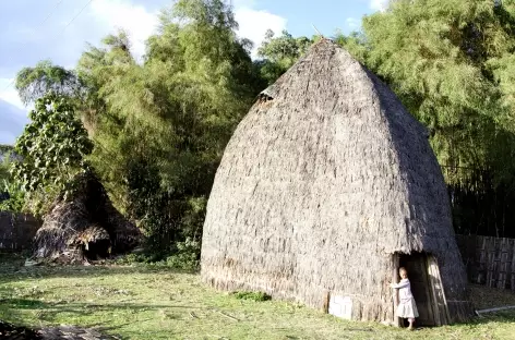 Maison traditionnelle des Dorze, région d'Arba Minch - Ethiopie