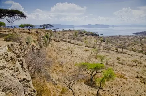 Grand Rift Africain, lac Abyata - Ethiopie