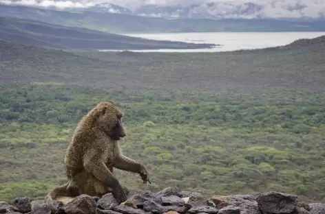 Panorama depuis notre lodge à Arba Minch, Vallée de l'Omo - Ethiopie