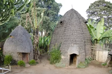 Maison traditionnelle dorzé, Vallée de l'Omo - Ethiopie