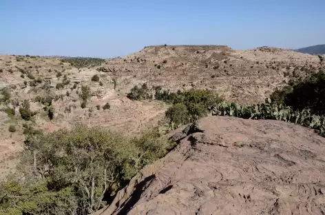 Randonnée vers l'église de Mikaël Imba, massif de l'Atsbi - Ethiopie