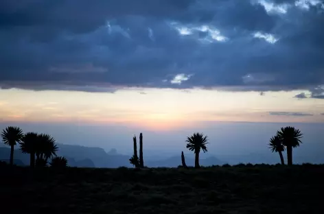 Coucher de soleil dans le Simien - Ethiopie