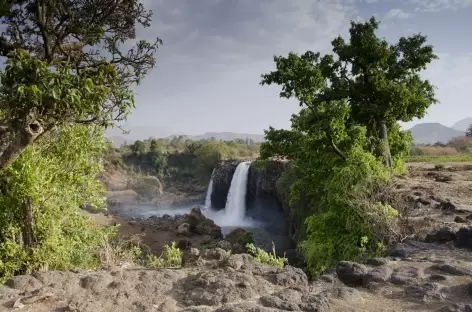 Chutes du Nil Bleu, région du Lac Tana - Ethiopie