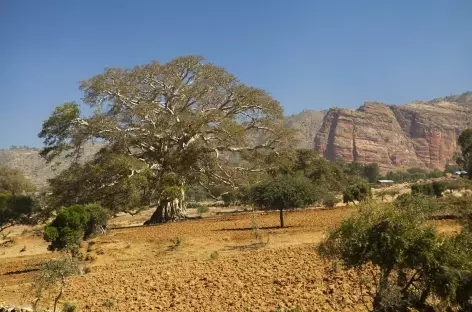 Région du Gheralta - Ethiopie