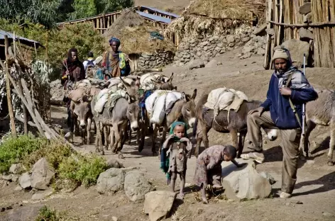 Montagnes du Simien, en chemin... - Ethiopie