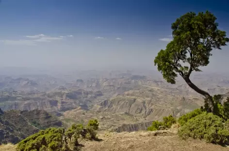 Trek vers Sankaber, massif du Simien - Ethiopie