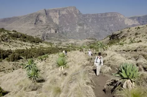 Trek entre Chennek et Sona, massif du Simien - Ethiopie