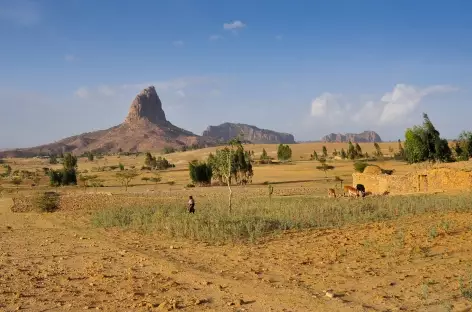 Massif du Gheralta, Tigray - Ethiopie