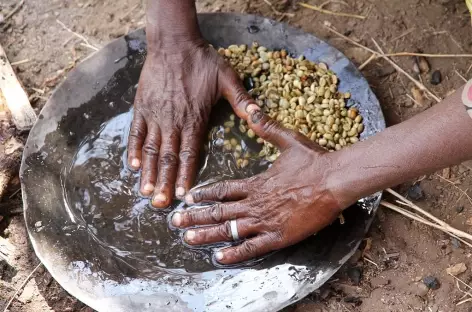 Café éthiopien, tout un rituel - Ethiopie