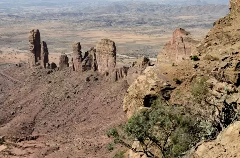 Magnifiques aiguilles de Tewelehe, massif du Gheralta - Ethiopie