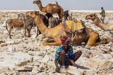 Découpage des briques de sel, dépression du Danakil - Ethiopie