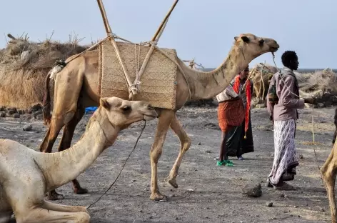 Askoma, camp de base du Erta Ale - Ethiopie