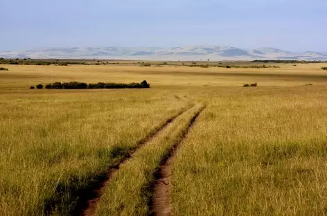 Pistes du Masai Mara - Kenya - 