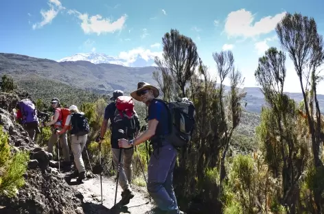 Etape entre Machame Camp et le plateau de Shira au Kilimandjaro - Tanzanie