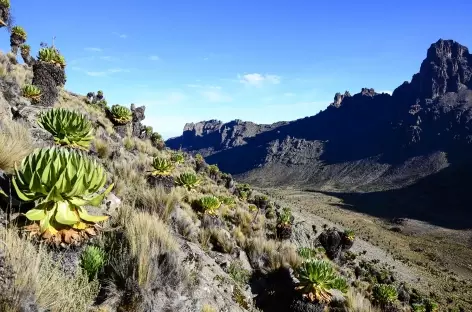 Vallée de Mackinder, Mont Kenya - Kenya