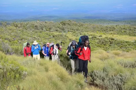 Trek en direction de Shipton's Camp, Mont Kenya - Kenya