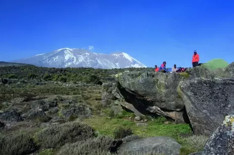 Notre campement depuis le plateau de Shira, Kilimanjaro - Tanzanie