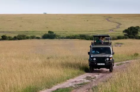 Réserve du Masai Mara - Kenya