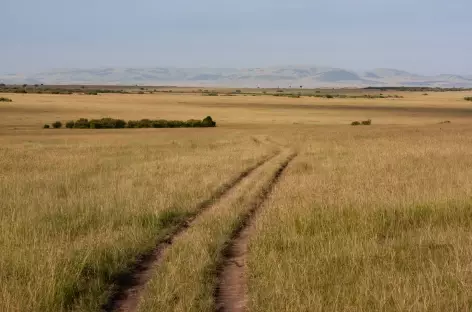 Réserve du Masai Mara - Kenya