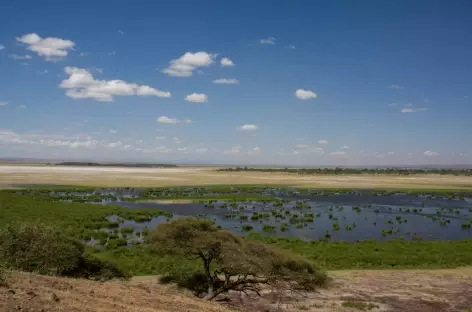 Parc d'Amboseli - Kenya