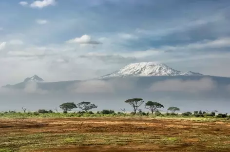 Parc d'Amboseli et le Kilimanjaro - Kenya