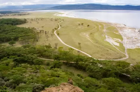 Parc de Nakuru - Kenya