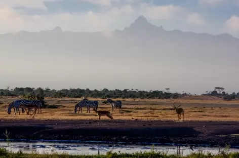 Région du Mont Kenya