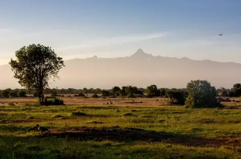 Région du Mont Kenya