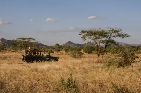 Parc de Samburu - Kenya
