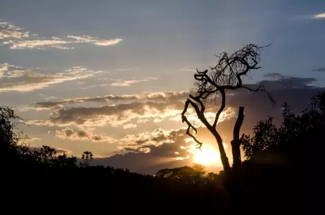 Coucher de soleil, Parc de Samburu - Kenya