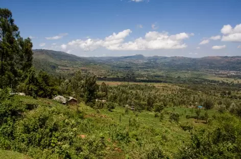 Campagne Kenya