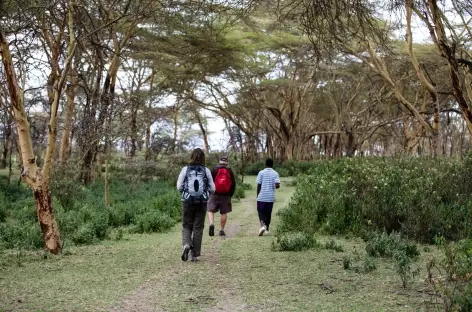 Crescent Island sur le lac Naivasha - Kenya