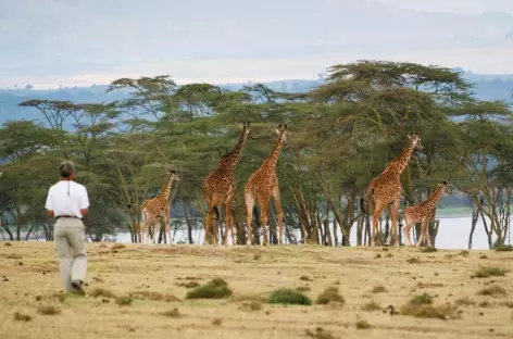 Crescent Island sur le lac Naivasha - Kenya