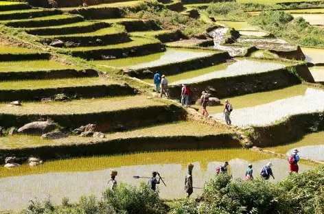 Trek en pays zafimaniry - Madagascar