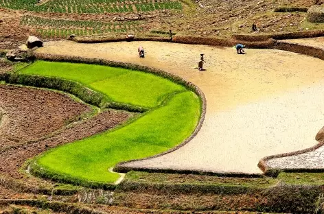 Trek en pays zafimaniry - Madagascar