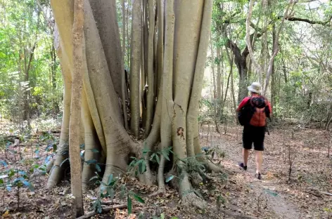 Trek sauvage dans le nord du massif du Makay - Madagascar