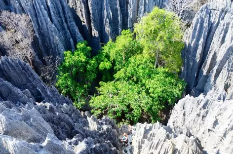 Relief spectaculaire des Tsingy de Bemaraha - Madagascar