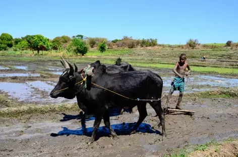 Fin trek Makay, village de Tsivoko - Madagascar