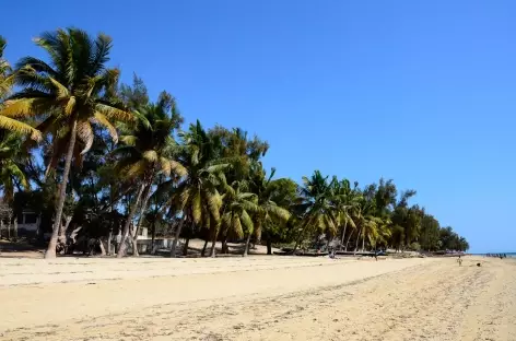 Plages sauvages d'Ifaty - Madagascar