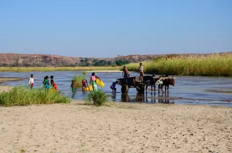 Scène de vie au bord de la rivière Sakapaly - Madagascar