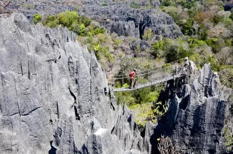 Ponts suspendus dans les Grands Tsingy de Bemaraha - Madagascar