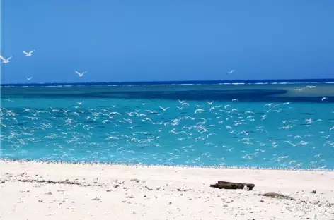 Lagon paradisiaque d'Ifaty - Madagascar